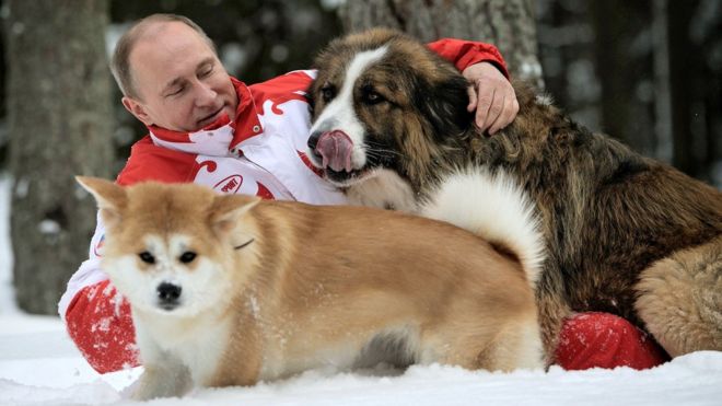 putin-dog