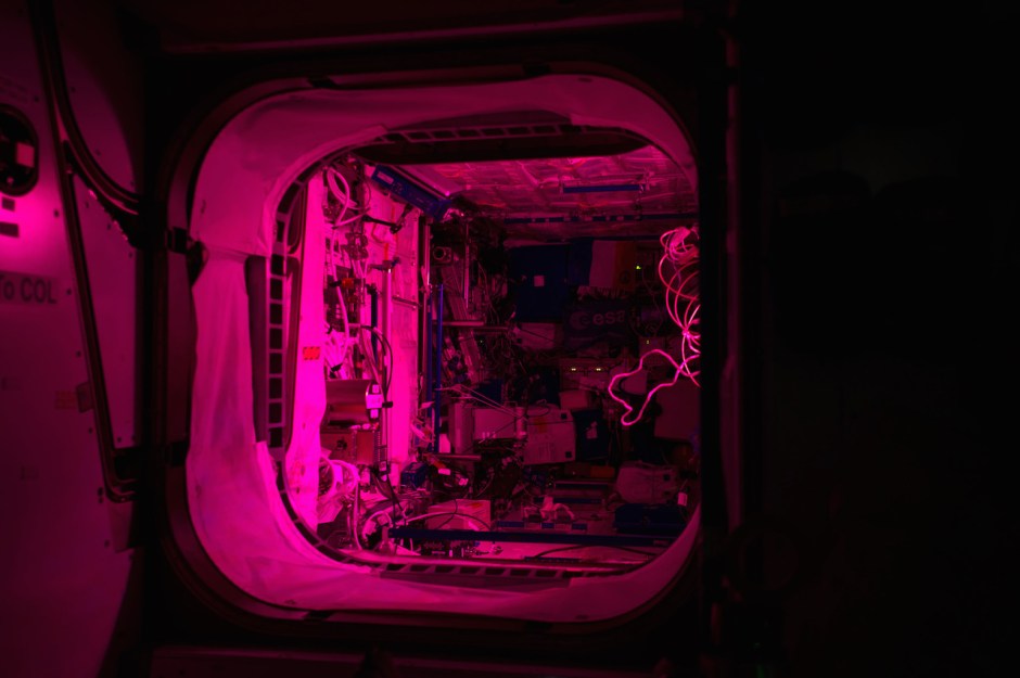 pink-light-from-the-veggie-experiment-illuminates-the-columbus-module-aboard-the-international-space-station