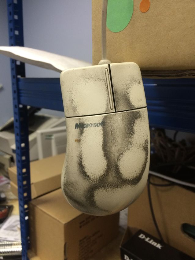 https-%2f%2fblueprint-api-production-s3-amazonaws-com%2fuploads%2fcard%2fimage%2f138574%2fbhhjncn