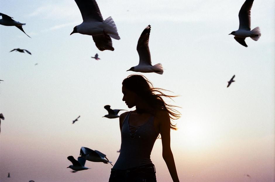 002.Fifi00050016 copy